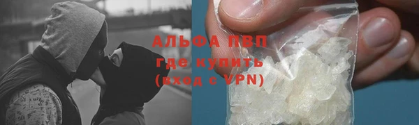 спайс Вяземский