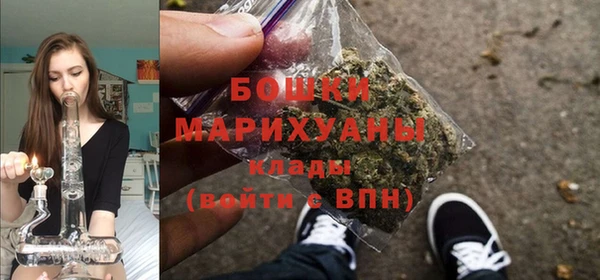 спайс Вяземский