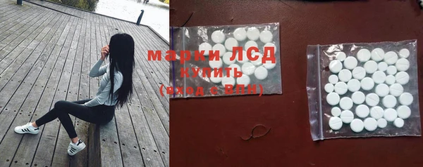 спайс Вяземский